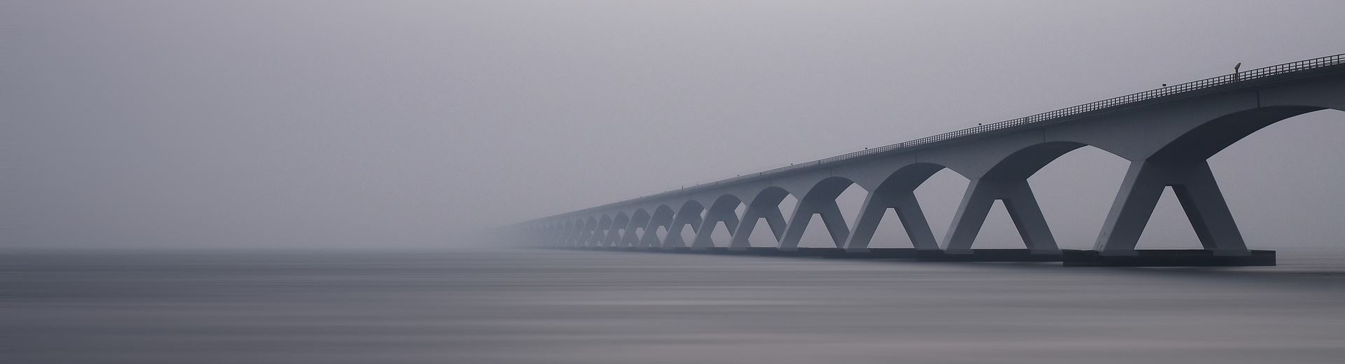 Einführung und Entwicklung des SAP-Systems